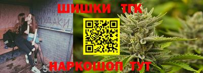 шишки Шелехов