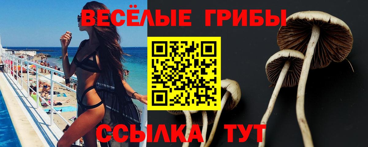 Галлюциногенные грибы MAGIC MUSHROOMS Пыть-Ях